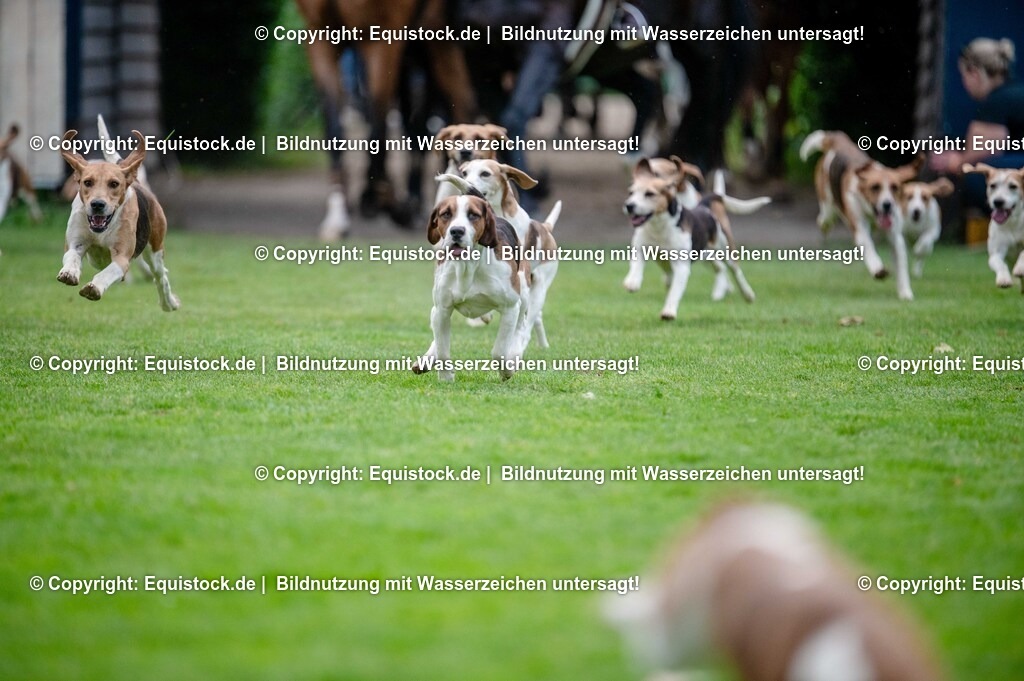 20250606_Lange-Pferdenacht_0462 | Foto: Thomas Hartig