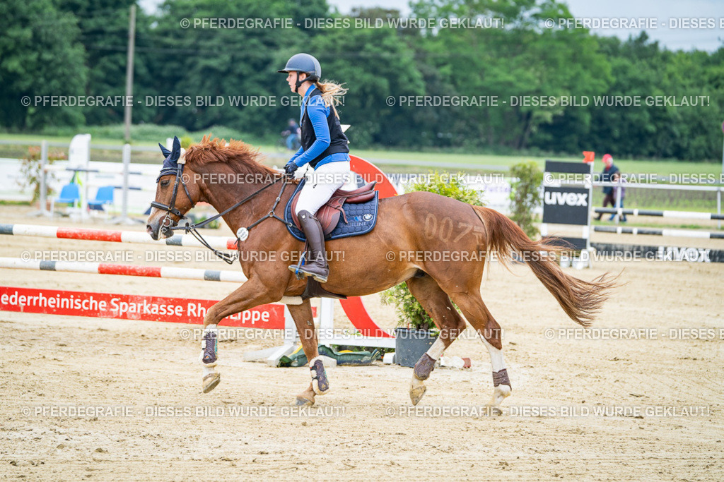 DSC03705 | Pferdegrafie