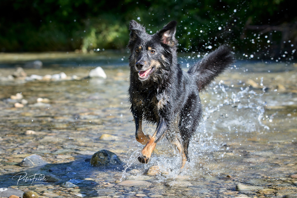 2021_07_03 Kaja 012 008 | Peter Fridle Fotografie - Realisiert mit Pictrs.com
