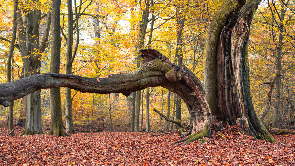 Im stillen Wandel | Art by Birgit Fotografie