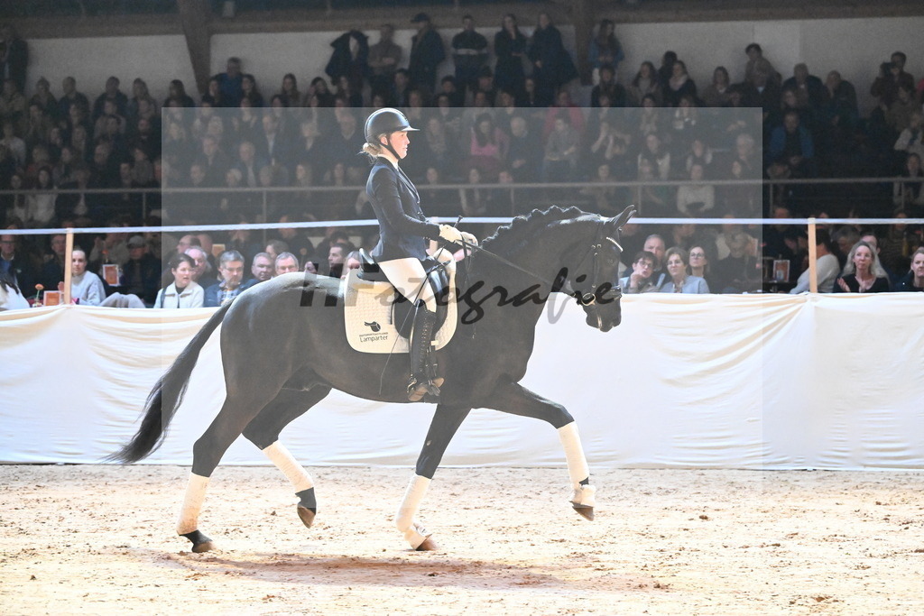 Best-Rubin_2241740 | hf-fotografie - Realisiert mit Pictrs.com