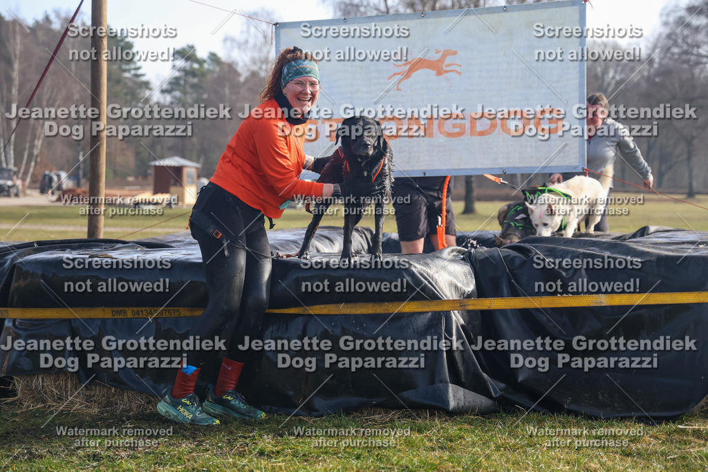 Dog Paparazzi - Strongdog North Mrz26-379 | Dog Paparazzi Jeanette Grottendiek Fotografie & Videografie - Realisiert mit Pictrs.com
