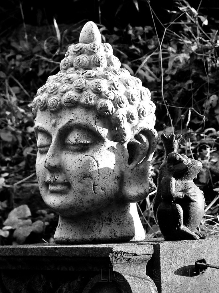 Reichtum | Buddha mit Frosch - Realisiert mit Pictrs.com