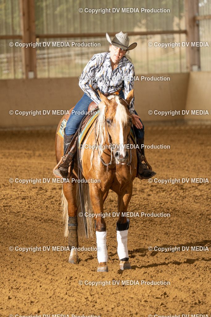 LAU01536 | dv-media-shop - Realisiert mit Pictrs.com