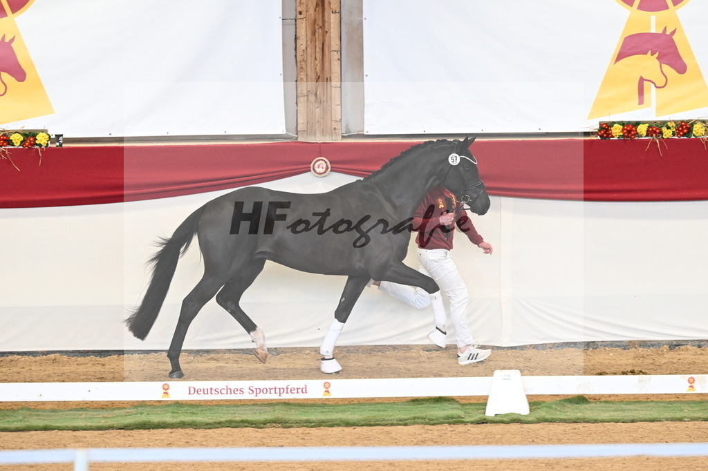 Kat.-Nr. 57 v. Feliciano_Vavrikova_3260601 | hf-fotografie - Realisiert mit Pictrs.com