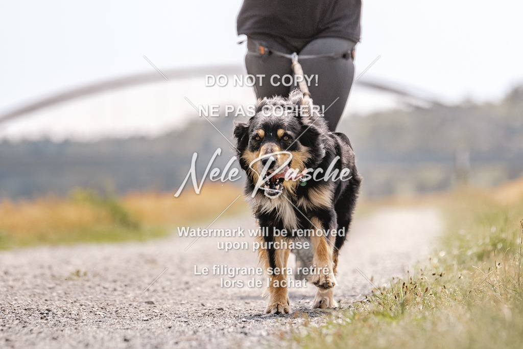 BUHU_CC_059 | nelerasche
