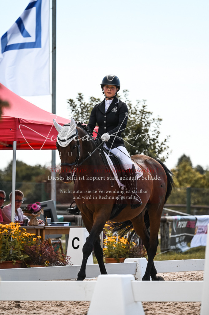 DSC_5646 | Pferde- und Turnierfotografie in Westsachsen. Pferdeportraits, Auftragszeichnungen und intuitive Kunst.