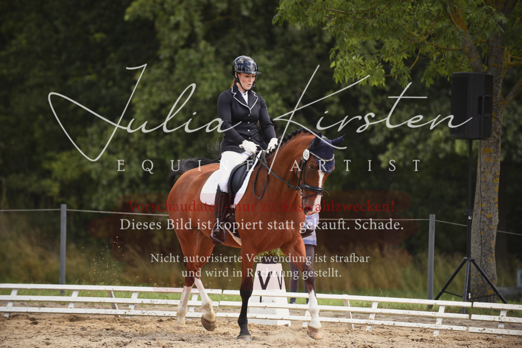 DSC_1238 | Pferde- und Turnierfotografie in Westsachsen. Pferdeportraits, Auftragszeichnungen und intuitive Kunst.