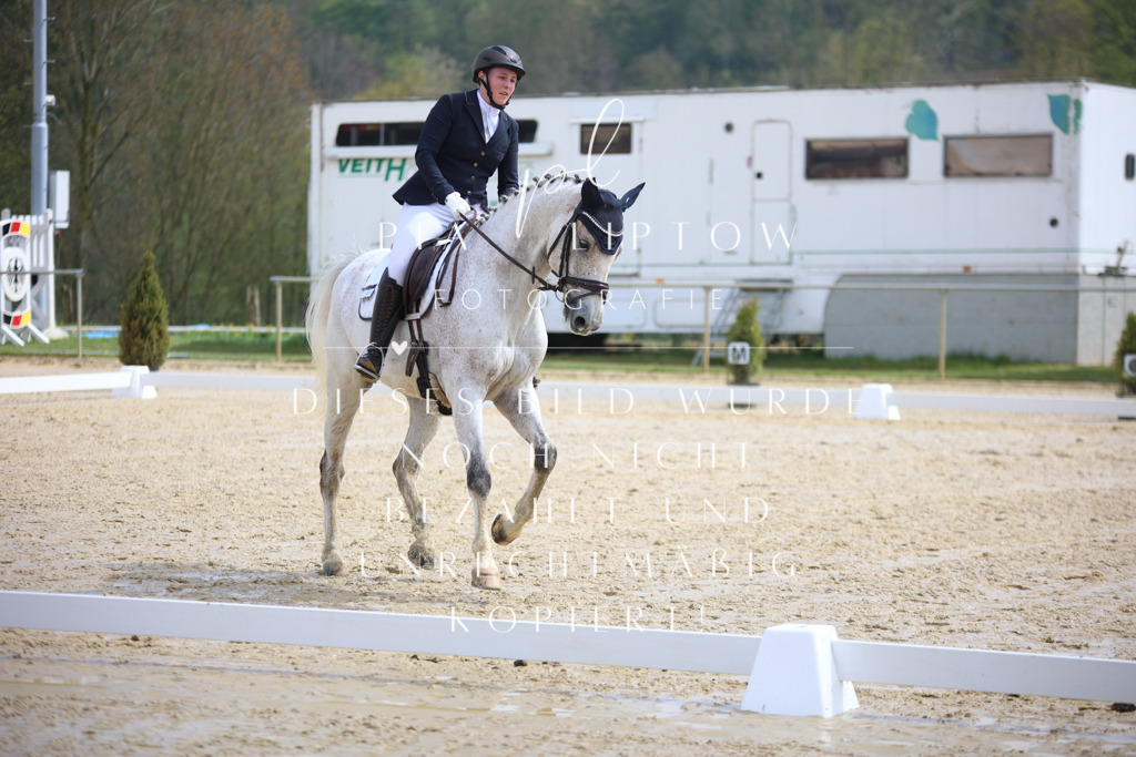 IMGT3317 | pl-fotografie