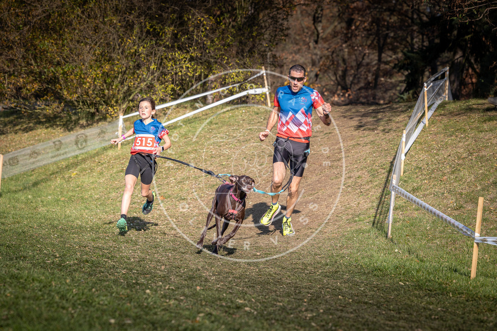CaniXpix_0L8A8551 | Hundefotografie, Tierfotograf, Pfotenfotografie, Fotoshooting Hund, Hunde Portrait, Hundesport, Hundeportraits, Heideshooting, Hunde, Sportfotograf, Hundefotograf, Turnierhundsport, THS,  - Realisiert mit Pictrs.com