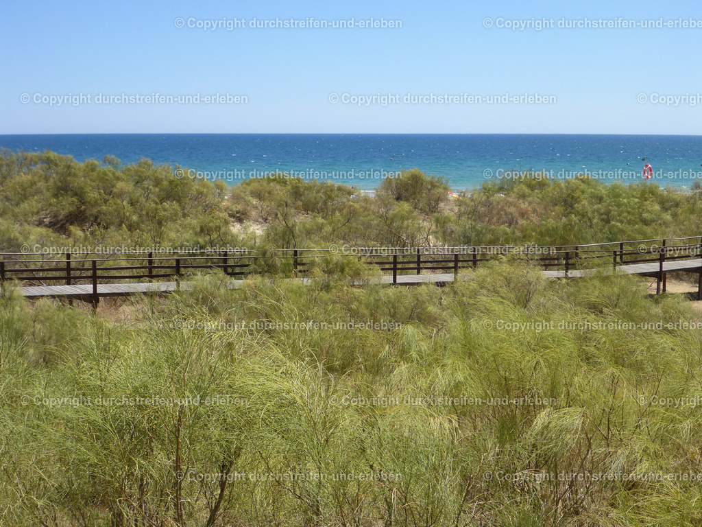 Holzweg durch die Dünen der Praia Verde, Algarve | Praia Verde ("Grüner Strand") ist ein wunderschöner, weitläufiger Sandstrand an der östlichen Algarve in Portugal, bekannt für seine Ruhe, den Pinienwald, der bis zum Meer reicht, und seine gute Infrastruktur mit Hotels, Wassersportmöglichkeiten und einem Fokus auf Natur und Entspannung. Der Strand ist Teil der Region Castro Marim und bietet eine Mischung aus natürlicher Schönheit und modernem Komfort, wobei viele Unterkünfte wie das Octant Praia Verde den Wald- und Meerblick betonen.  - Realisiert mit Pictrs.com