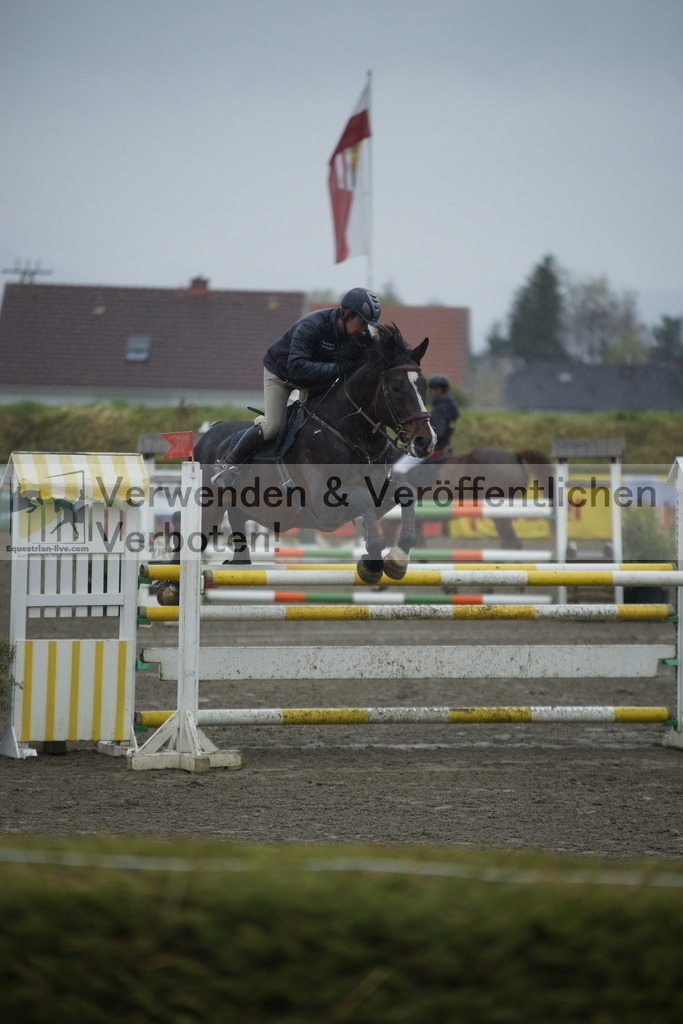 _DSC6145 | equestrian-live-com