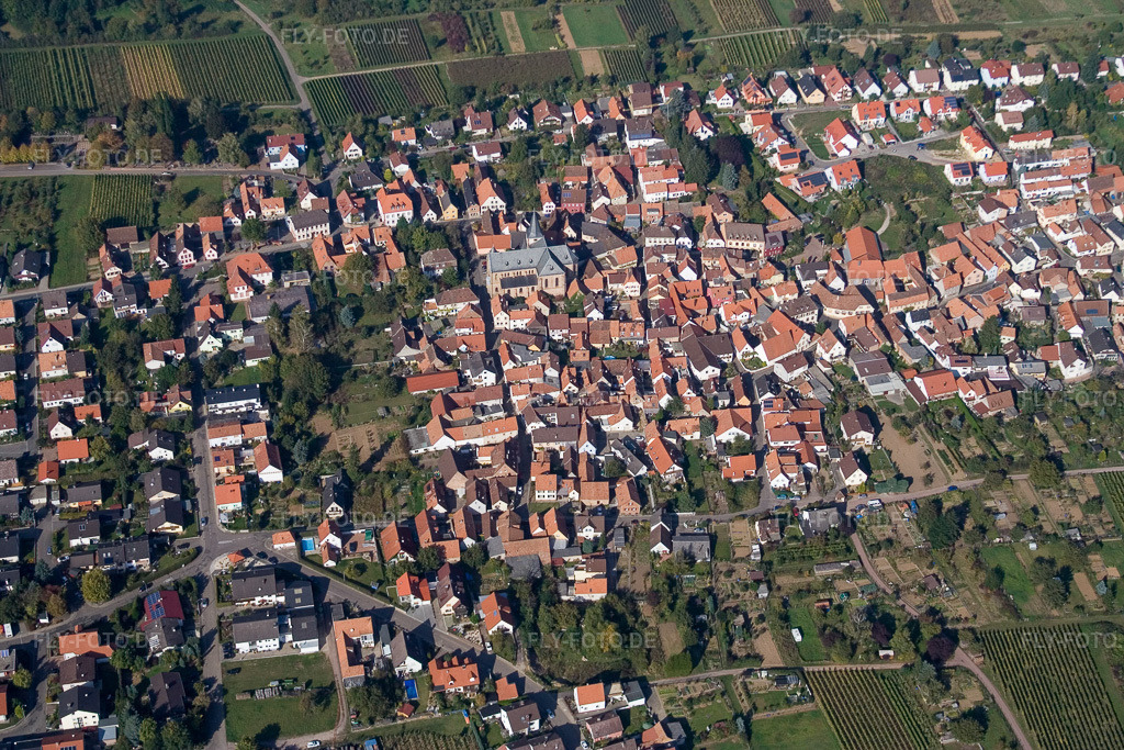 Luftbild: der Pfalz im Ortsteil Arzheim in Landau im Bundesland Rheinland-Pfalz in Deutschland. Foto: IMG_8334.jpg vom 06.10.2007 durch Werner Riehm/FLY-FOTO.de