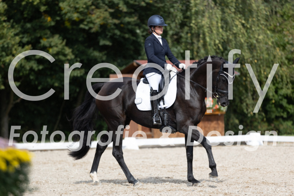 IMG_4181 | Creatify Fotografie