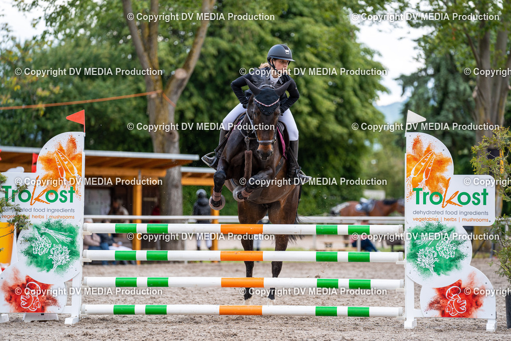 Eppelheim Tag 1-332 | dv-media-shop - Realisiert mit Pictrs.com