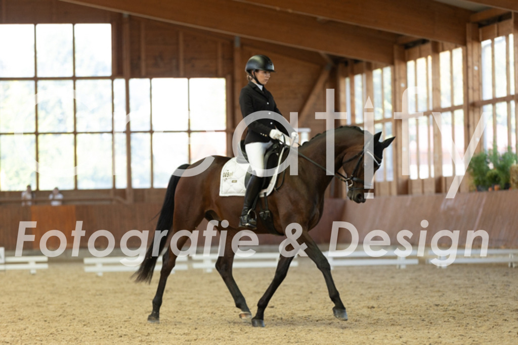 IMG_8708 | Creatify Fotografie