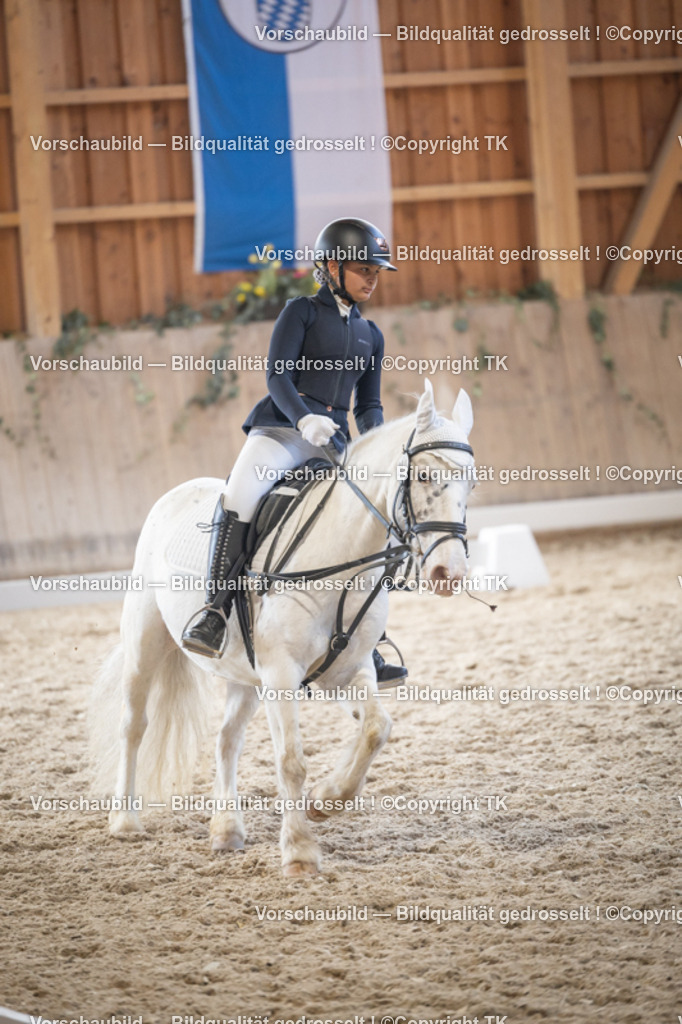 _D5A5761 | Emotionale Pferde- & People-Fotografie rund um Heidelberg, Leimen & Umgebung. Natürliche Fotos von Pferd, Mensch & Familie. Jetzt Termin sichern!