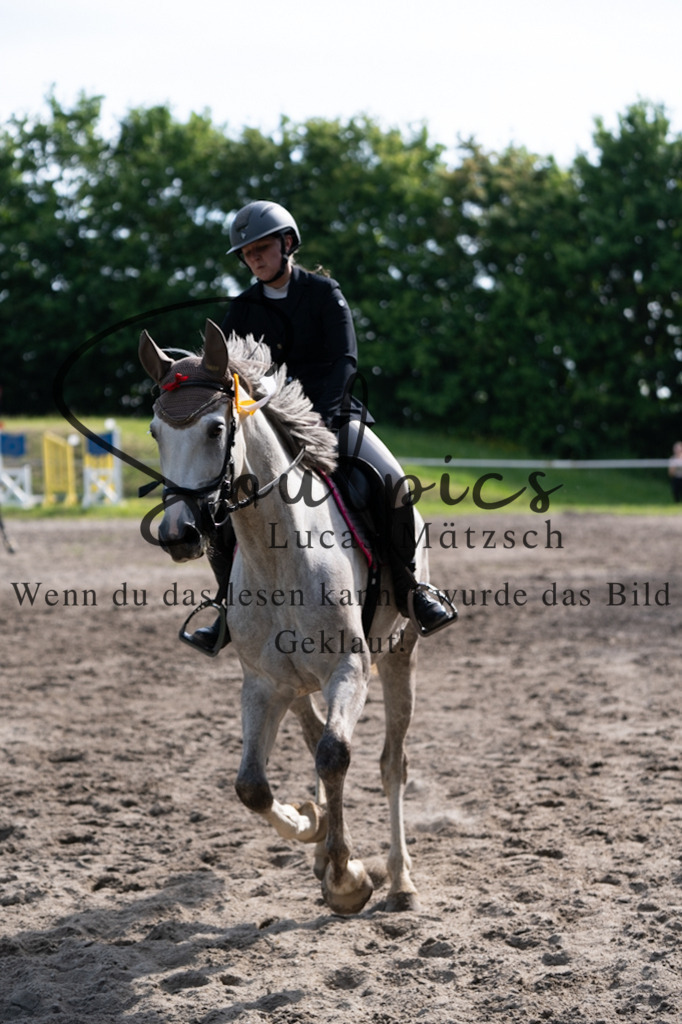 A7V03670 | Pferdefotograf