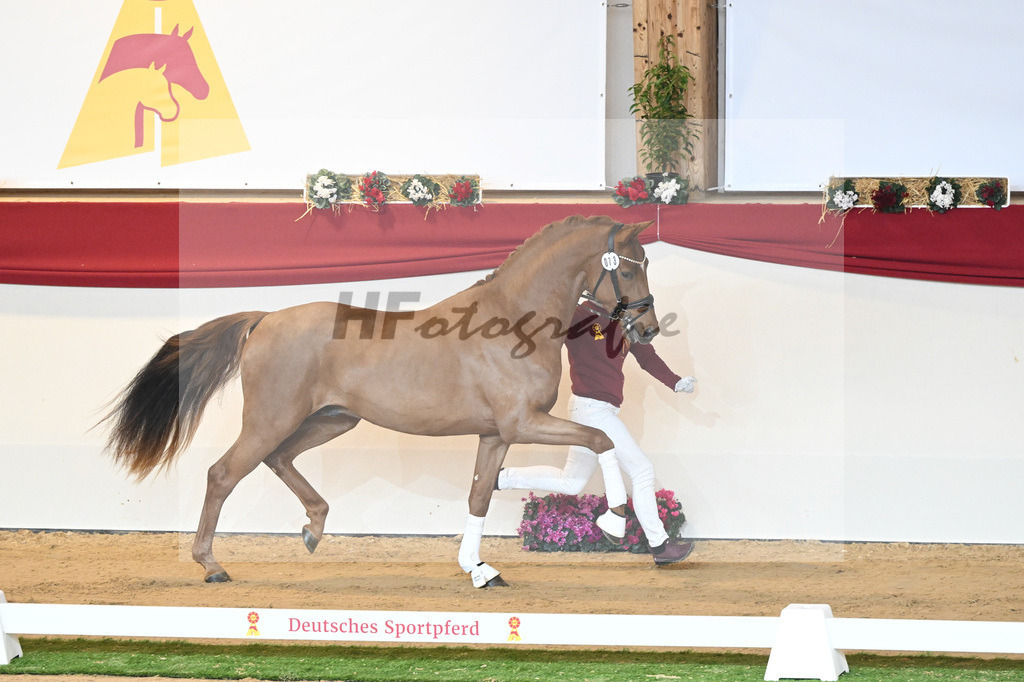 Kat-Nr. 73 Vaderland_Galneder_1230414 | hf-fotografie - Realisiert mit Pictrs.com