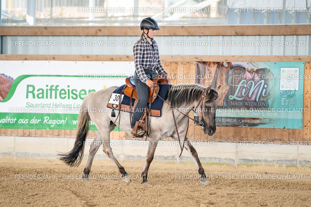 DSC01795 | Pferdegrafie