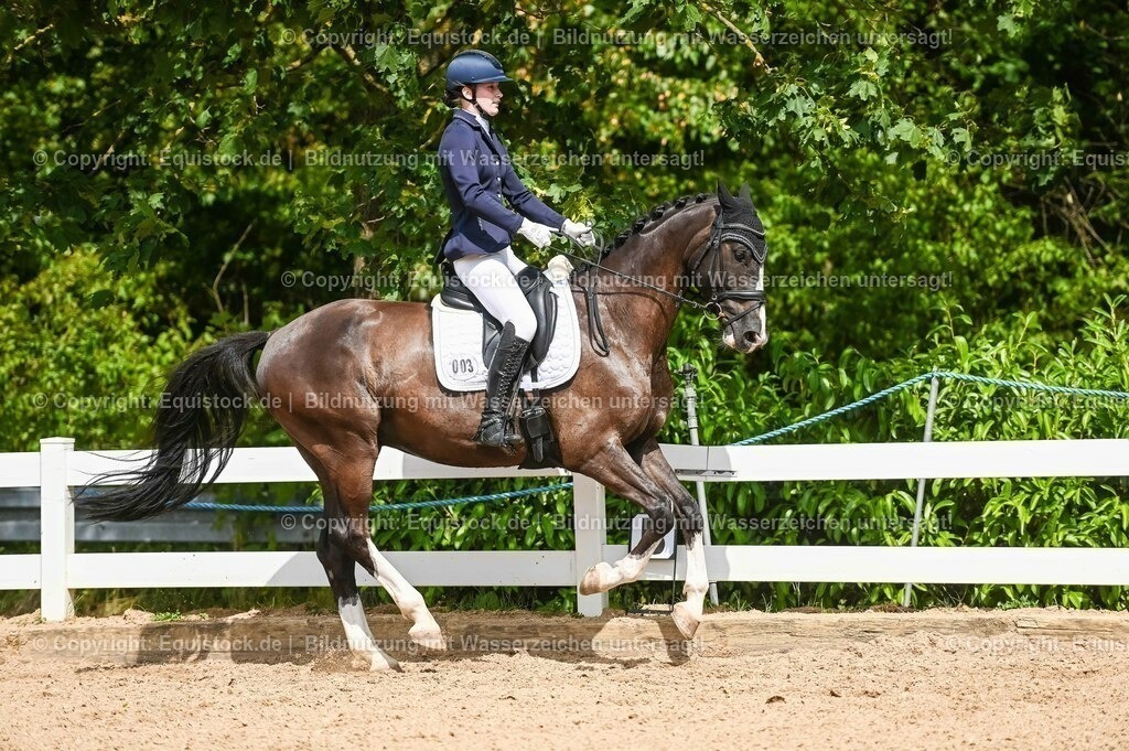 20230715_02_Dressurreiterprüfung Kl.L_0292 | equistock