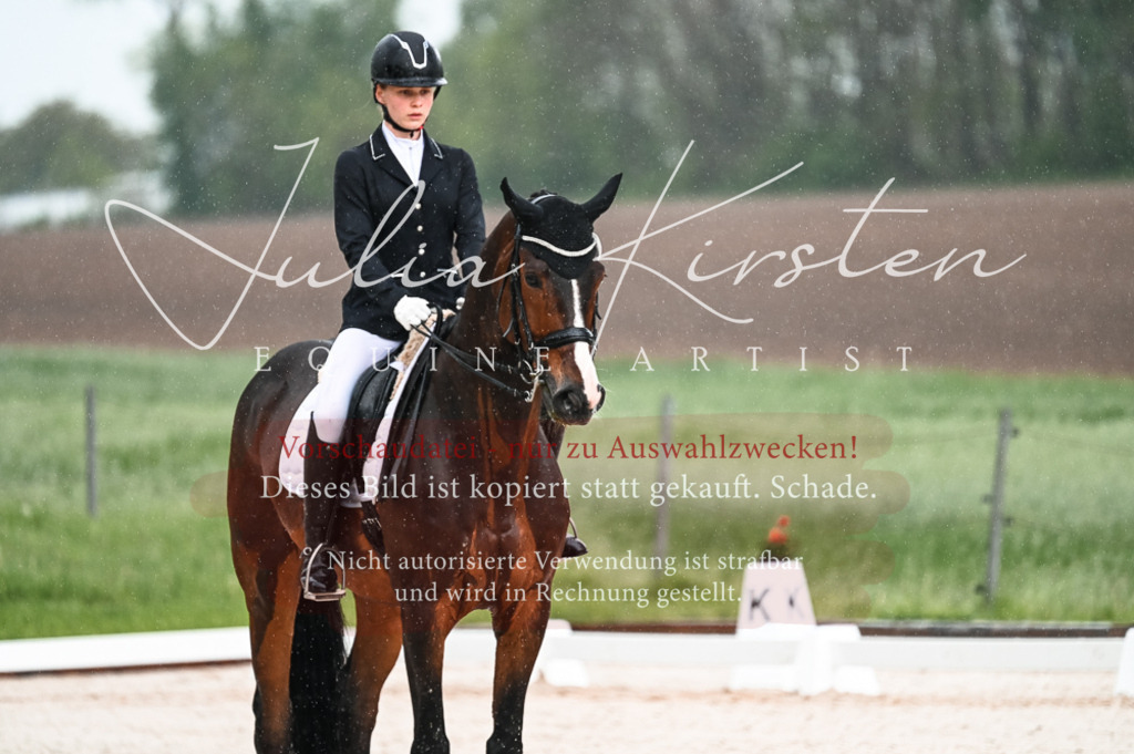 DSC_4131 | Pferde- und Turnierfotografie in Westsachsen. Pferdeportraits, Auftragszeichnungen und intuitive Kunst.