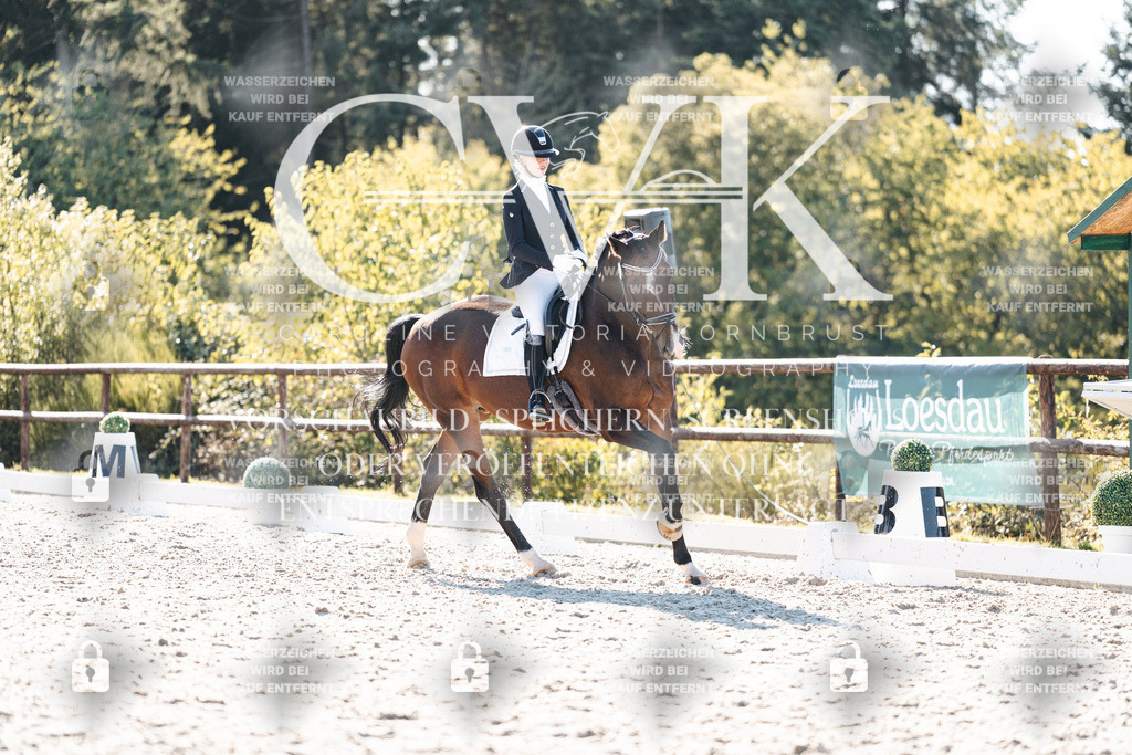CK906516 | Turnierfotografie Pferdefotografie Trier Rheinland-Pfalz Pferdesport Reitsport Tierfotografie Sportfotografie Pferdevideo Pferdevideografie Equestrianvideography equestrianphotography  - Realisiert mit Pictrs.com