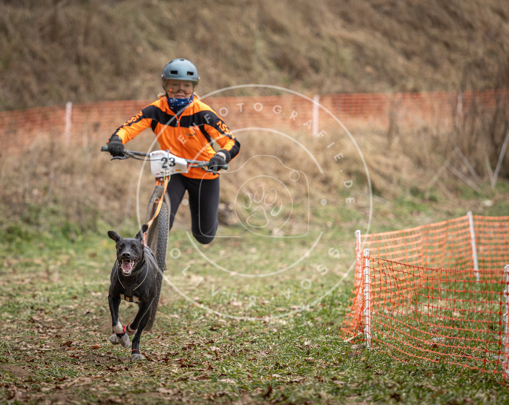 Pfotenfotografie_DV3A7263 | Hundefotografie, Tierfotograf, Pfotenfotografie, Fotoshooting Hund, Hunde Portrait, Hundesport, Hundeportraits, Heideshooting, Hunde, Sportfotograf, Hundefotograf, Turnierhundsport, THS,  - Realisiert mit Pictrs.com