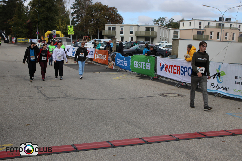 D (259) | Foto Buchgraber