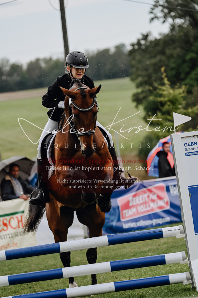DSC_7030 | Pferde- und Turnierfotografie in Westsachsen. Pferdeportraits, Auftragszeichnungen und intuitive Kunst.