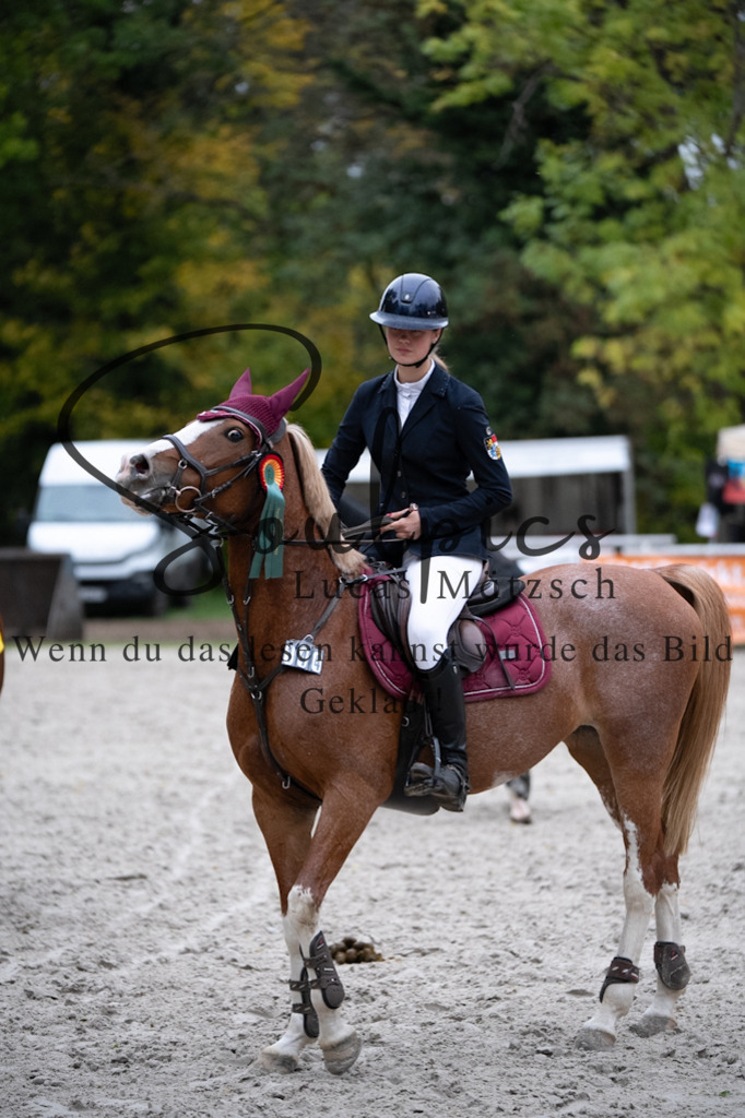 A7V08920 | Turnier/Reitfotograf