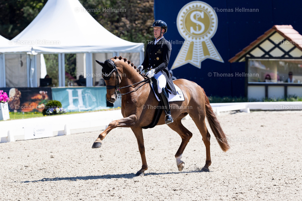 TH_593-Veuve Clicquot FRH_ Ligus Lars_28029 | Horses &amp; Dreams 2025 am 27.04.25 in Hagen a.T.W., Thomas Hellmann, 593Veuve Clicquot FRH, Ligus Lars