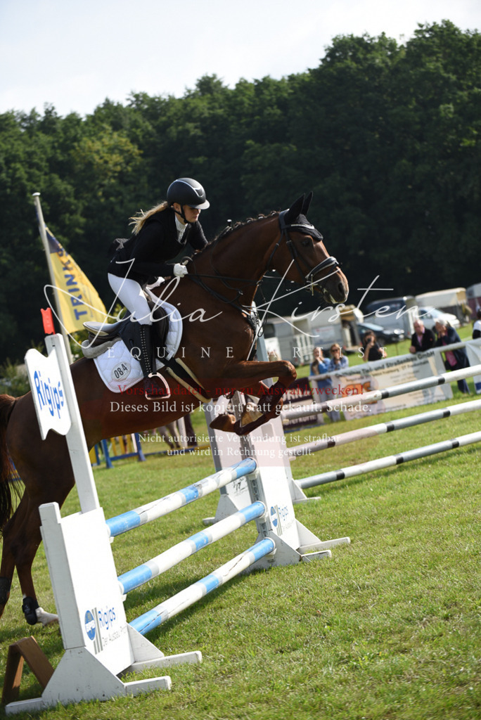 DSC_8783 | Pferde- und Turnierfotografie in Westsachsen. Pferdeportraits, Auftragszeichnungen und intuitive Kunst.