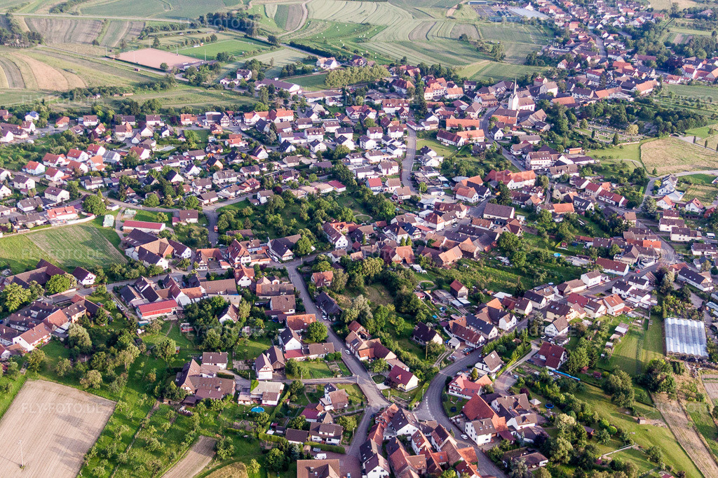 Luftbild: Dorfansicht im Ortsteil Legelshurst in Willstätt im Bundesland Baden-Württemberg in Deutschland. Foto: IMG_28908.jpg vom 14.06.2010 durch Werner Riehm/FLY-FOTO.de