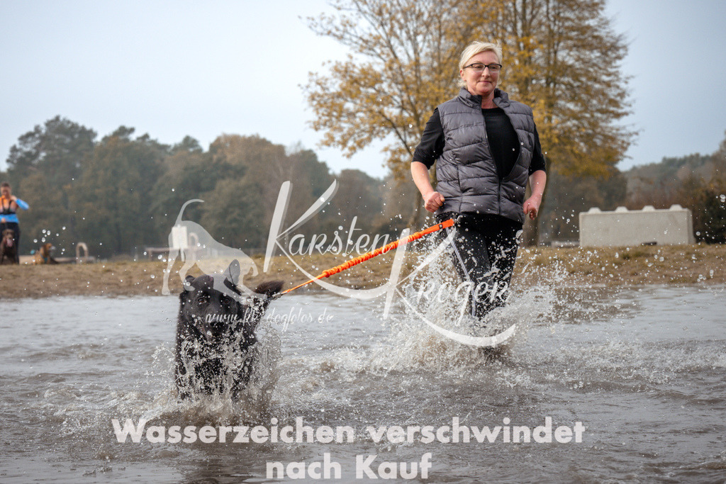 1114_ZZ93467 | kk-dogfotos