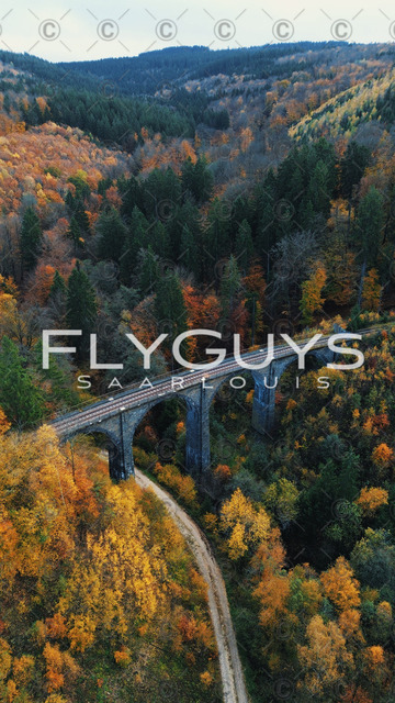 9310D7DC-0C5A-4C9D-827D-1C21439F2292 | FlyGuys Saarlouis - Realisiert mit Pictrs.com