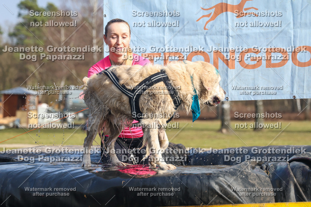 Dog Paparazzi - Strongdog North Mrz26-2813 | Dog Paparazzi Jeanette Grottendiek Fotografie & Videografie - Realisiert mit Pictrs.com