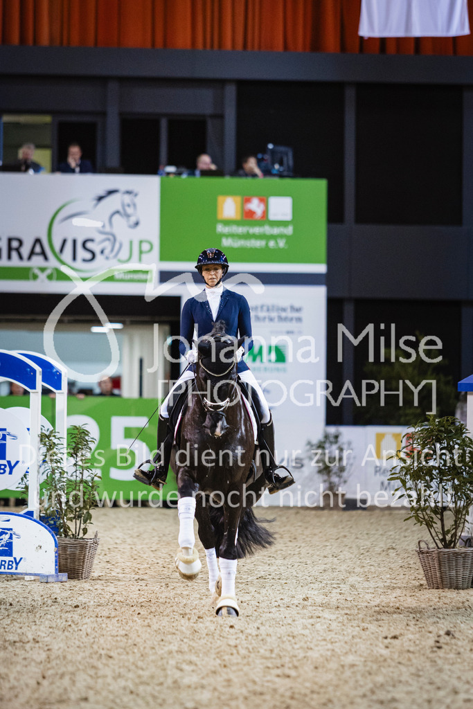 250108_Muenster_Hengstpräsentation-117 | Deine schönsten Turniermomente als professionelle Fotos! Entdecke hochwertige Pferdesport-Fotografie im Online-Shop. Jetzt Fotos finden & bestellen!