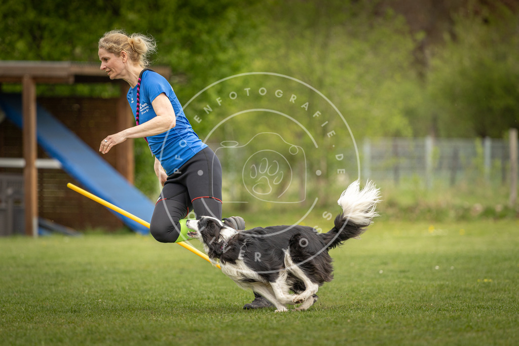 Pfotenfotografie_DV3A7315 | Hundefotografie, Tierfotograf, Pfotenfotografie, Fotoshooting Hund, Hunde Portrait, Hundesport, Hundeportraits, Heideshooting, Hunde, Sportfotograf, Hundefotograf, Turnierhundsport, THS,  - Realisiert mit Pictrs.com
