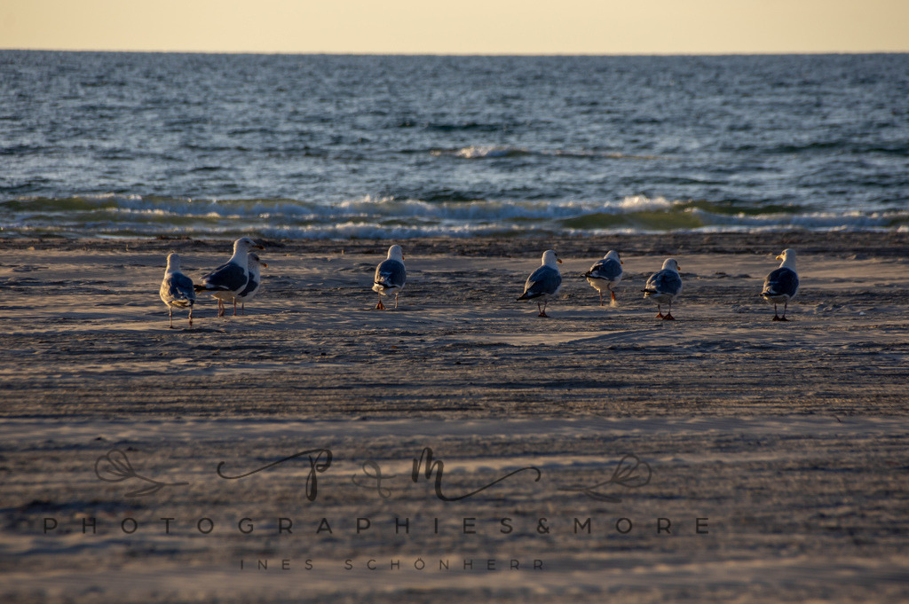 _WhiteStrand2022-1018 | Photographies and more - Realisiert mit Pictrs.com