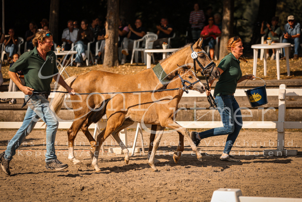10.DoRP00248 | Leoni Ertmer Photography - Realisiert mit Pictrs.com