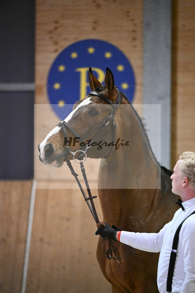 Sanvaro_14261506 | hf-fotografie - Realisiert mit Pictrs.com