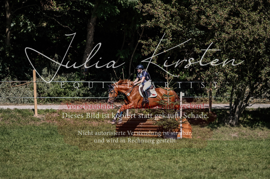 DSC_1887 | Pferde- und Turnierfotografie in Westsachsen. Pferdeportraits, Auftragszeichnungen und intuitive Kunst.