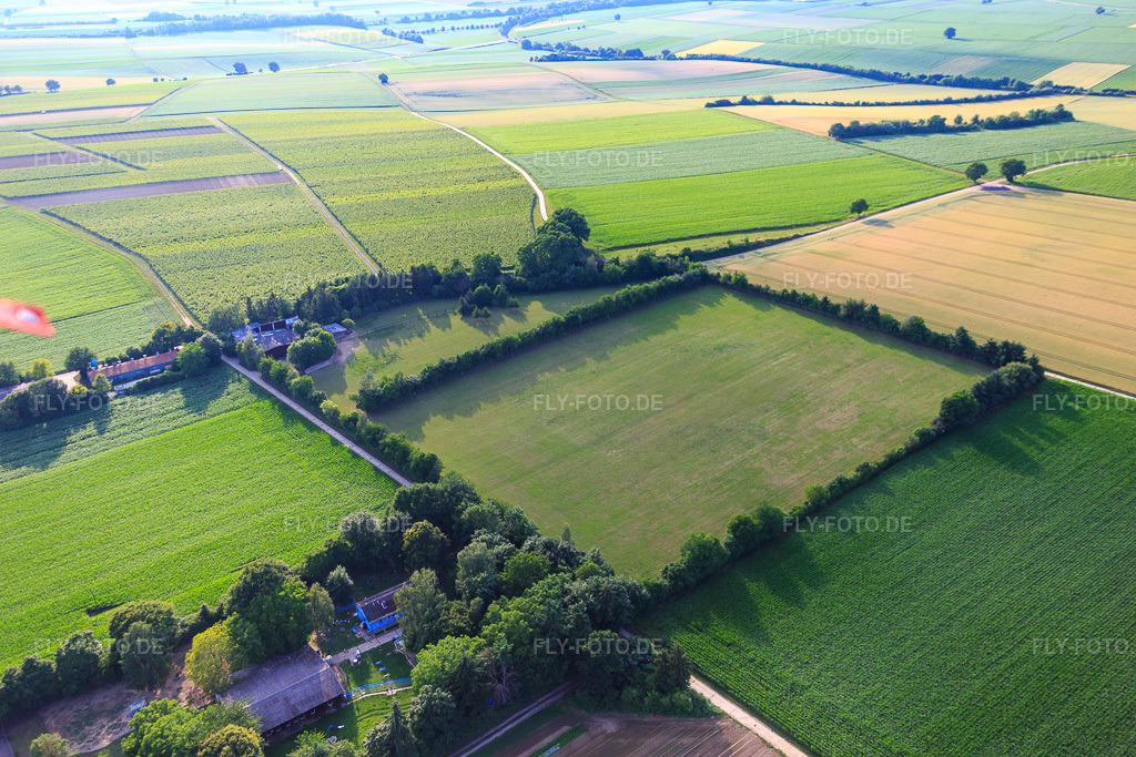 Luftbild: Koppel von Trakehner-Friedrich in Minfeld im Bundesland Rheinland-Pfalz in Deutschland. Foto: IMG_082636.jpg vom 25.06.2015 durch Werner Riehm/FLY-FOTO.de