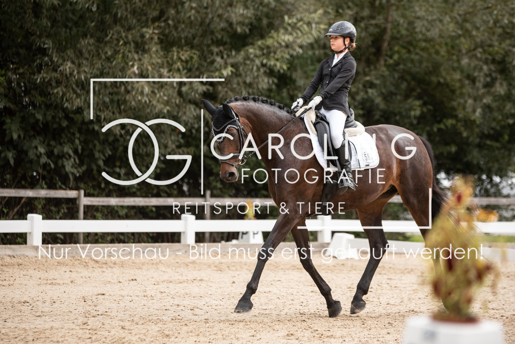 DSC_7747 | Turnierfotografin Carolin Gieschke, Turnierfotografie Carolin G Fotografie, Turnierfotos Kirchheim/Teck, Esslingen, Stuttgart, Bodenseekreis