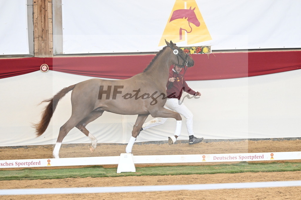 Kat.-Nr. 80 v. Va Bene_Klakow_3261255 | hf-fotografie - Realisiert mit Pictrs.com