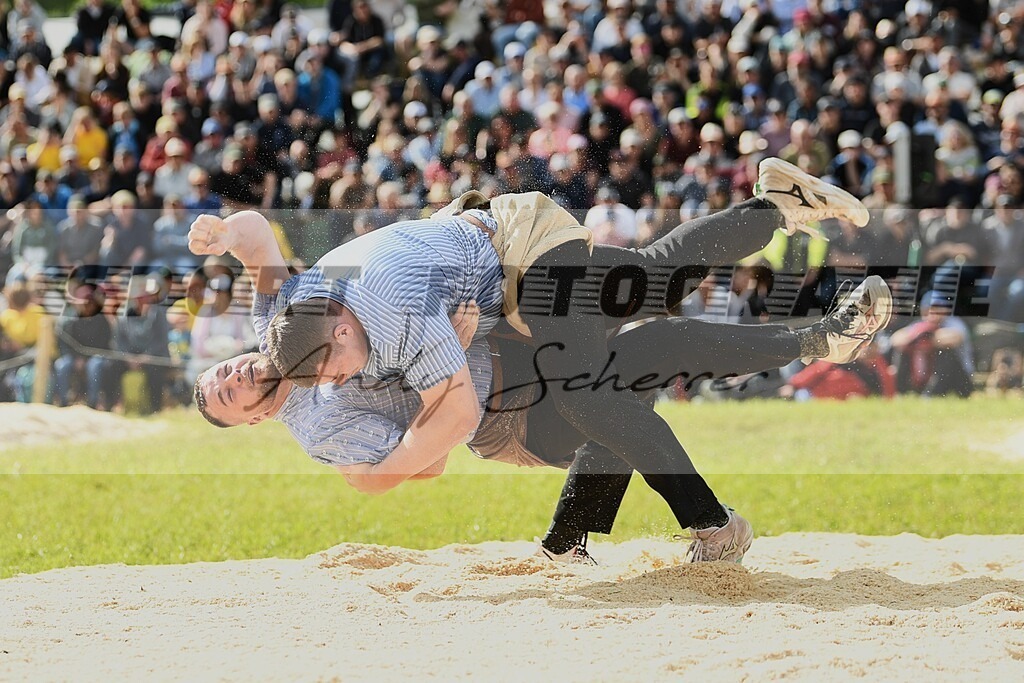 DSC_7542aaaaa | Kaufen Sie Sportbilder im Onlineshop von Andy Scherrer Sportfotografie. Faszinierende Bilder von Sportevents aus der ganzen Schweiz. Fussball, Frauenfussball, Unihockey, Handball, Schwingen und weiteren Sportarten. - Realisiert mit Pictrs.com