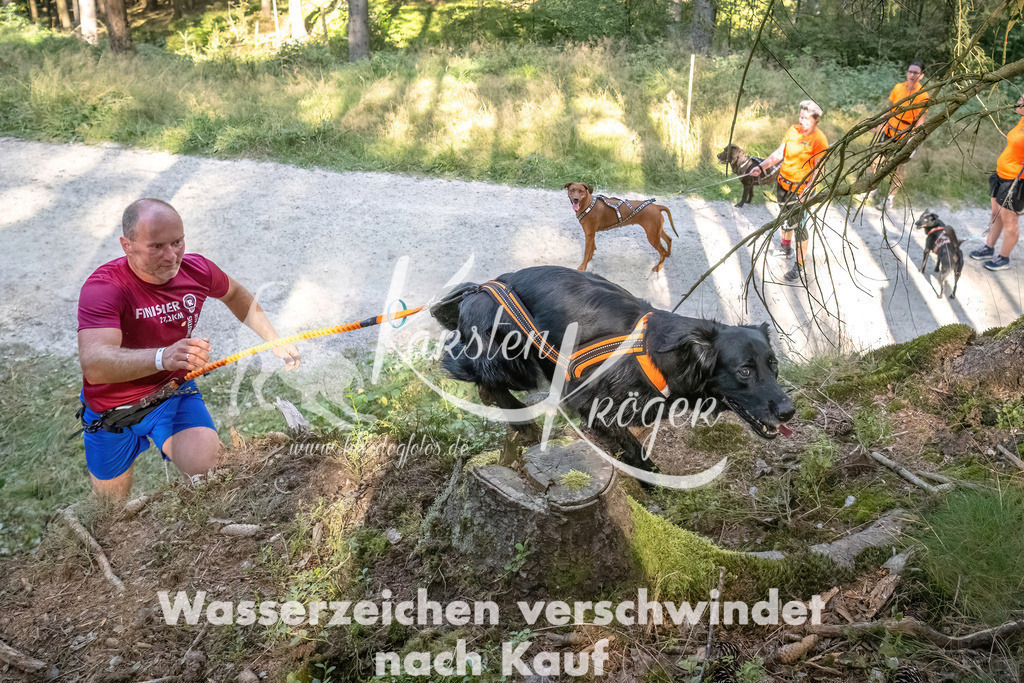 1056_ZZ93719 | kk-dogfotos