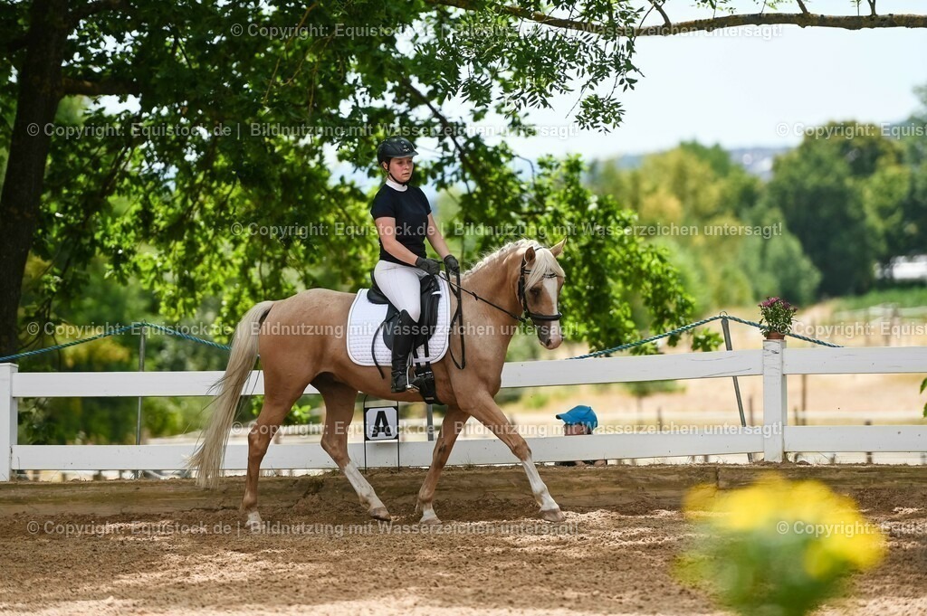 20230715_09_Dressur-WB_0529 | equistock