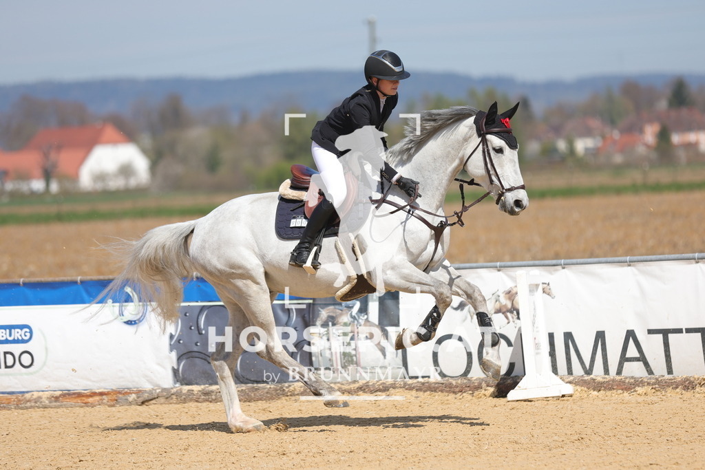 0P6A0312 | Willkommen bei Brunnmayr - Design & Fotografie – Ihrem Spezialisten für Reitturniere und Pferdeveranstaltungen in Oberösterreich, Salzburg und Bayern! Seit über 17 Jahren sind wir leidenschaftlich dabei.